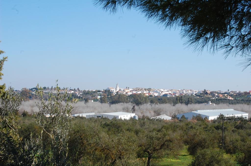 Maison d'hôtes Hacienda Dos Olivos à Aznalcázar Extérieur photo