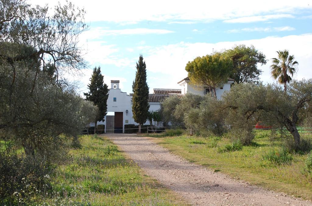 Maison d'hôtes Hacienda Dos Olivos à Aznalcázar Chambre photo