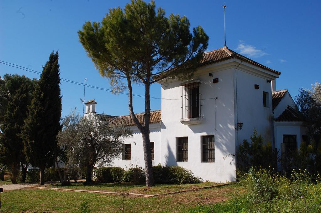 Maison d'hôtes Hacienda Dos Olivos à Aznalcázar Extérieur photo