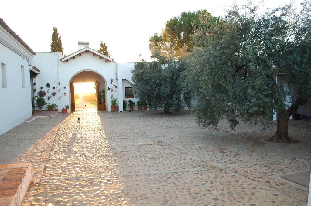 Maison d'hôtes Hacienda Dos Olivos à Aznalcázar Extérieur photo